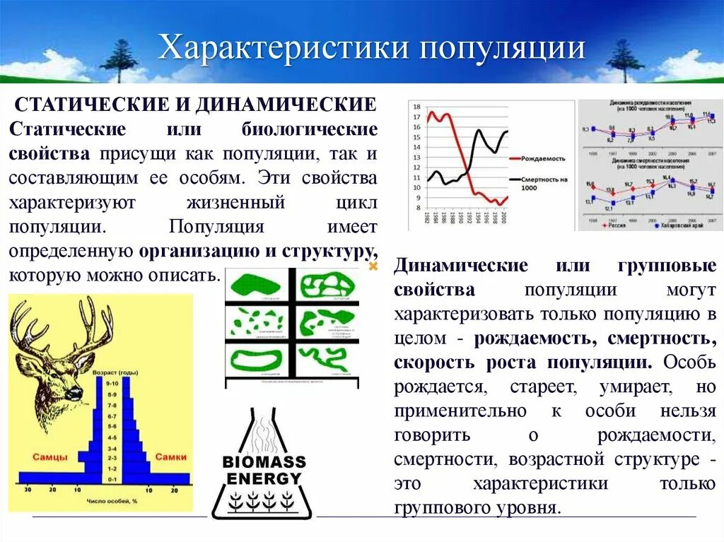 Какие свойства могут характеризовать популяцию как группу. Характеристики популяции. Характеристика свойств популяции. Статические характеристики популяции. Охарактеризуйте понятие популяция.