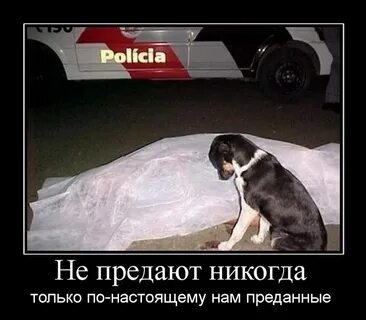 Я не предам помню она