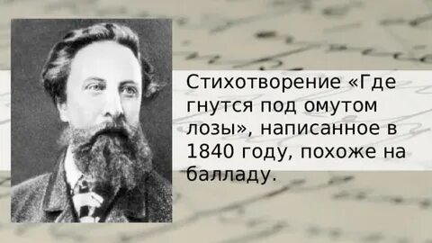 Стиха толстого где