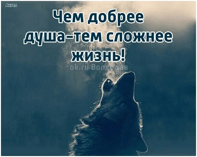 Места предать мне
