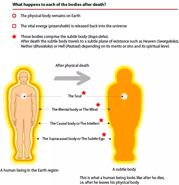 Что происходит с людьми после. Что будет если бросить курить. Что происходит с людьми после. Реанимация смерти человека. Влияние газировки на организм человека.