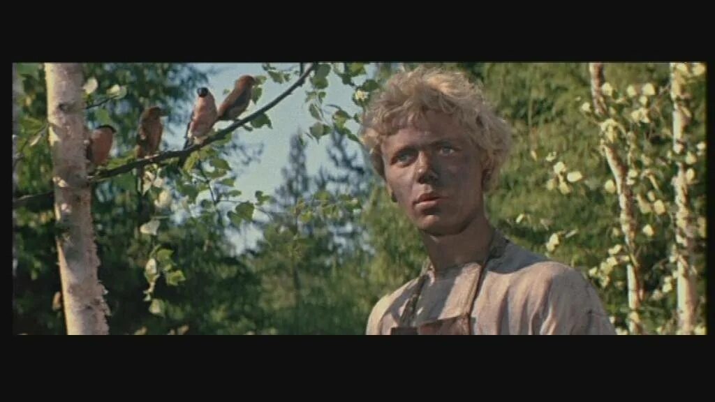 магазин огонь вода и медные трубы. прошла в жизни огонь воду. огонь вода и разные трубы в архангельске. огонь вода и трубы архангельск. пройти огонь воду и медные трубы.