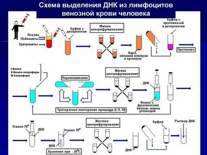 Лизировать это