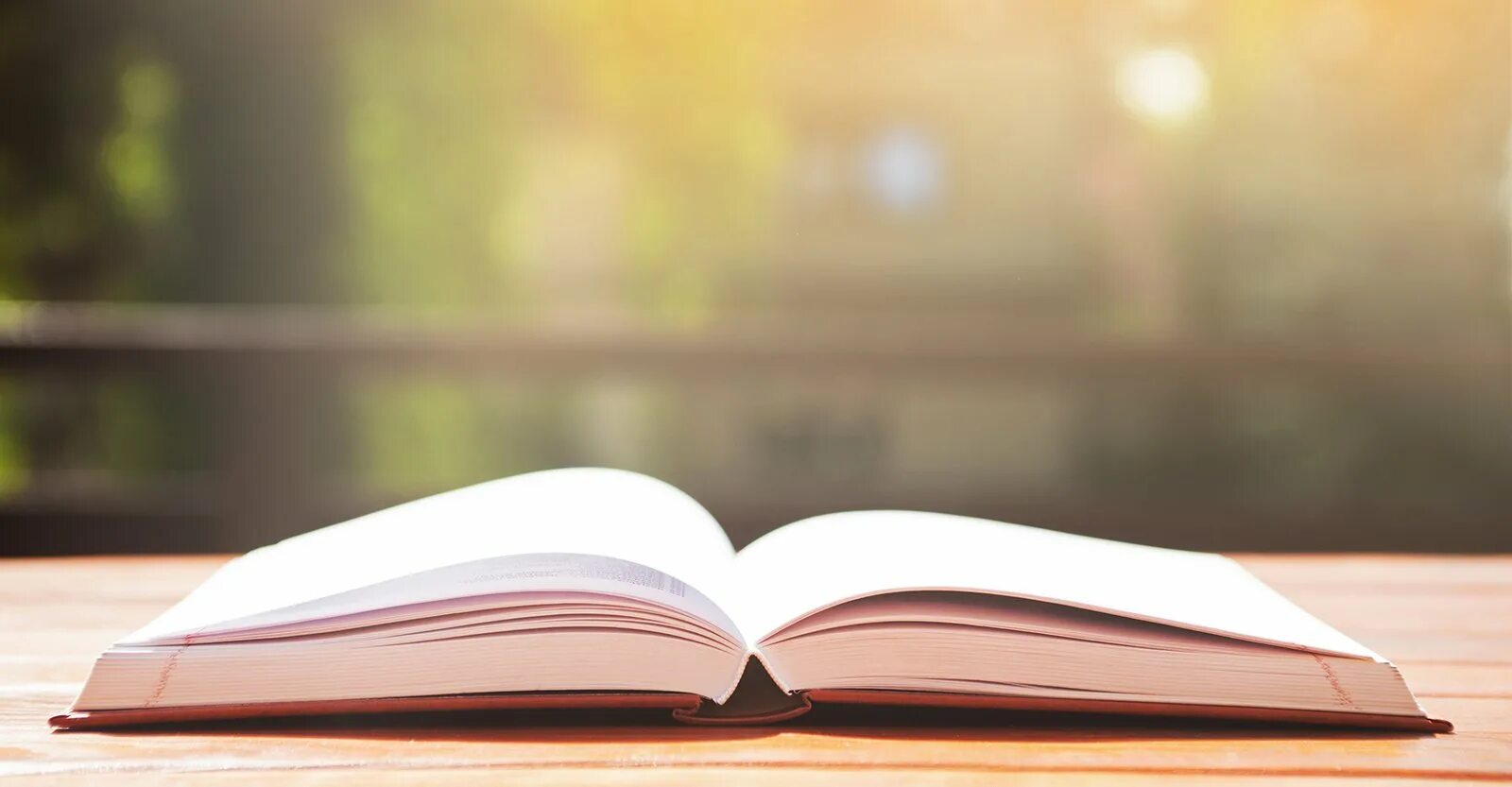 Раскрытая книга. Кнгигана прозрачном фоне. Открытая книга эскиз. Открытая книга для надписи. Раскрытая книга на прозрачном фоне.