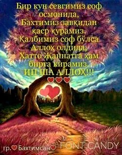 Бир кун