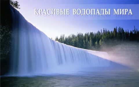 Красивая большая головка