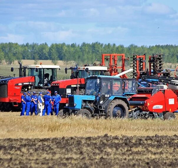 Машинно тракторный парк предприятия. Машинно-тракторный парк КФХ Кучеренко. Машинно тракторный парк Дашковка. Алейсек зернопродуки машинно-тракторный парк. Машинно тракторный парк ПМР.