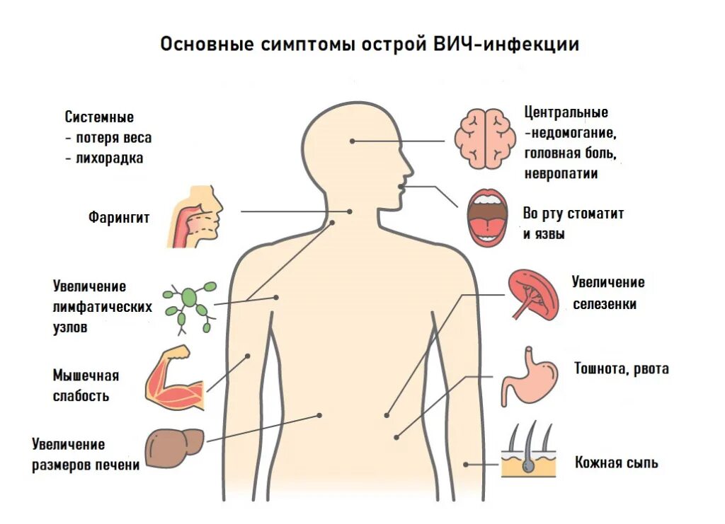 Через какое время проявляются первые симптомы вич. СПИД ВИЧ симптомы проявления. Основные клинические симптомы ВИЧ-инфекции. Первичные клинические проявления ВИЧ инфекции. Симптомы СПИДА ВИЧ инфекции.