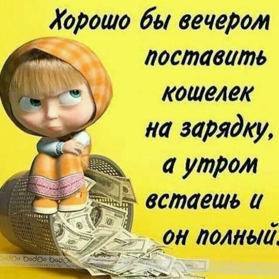 Лучший вечер прикольные смешные. Прикольные статусы в картинках. прикольные картинки с надписями. смешные высказывания. картинки прикольные смешные с надписями.
