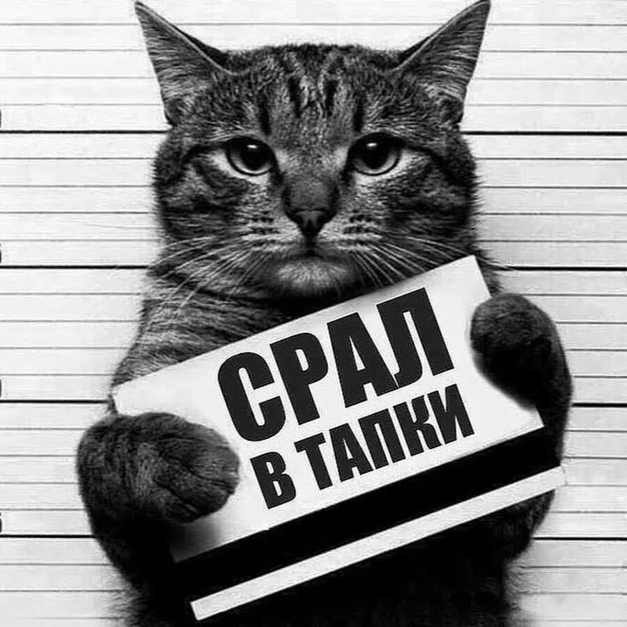 Том что на всех