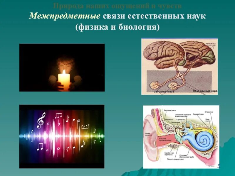 Связь биологии с химией. Профессии людей связанные с биологией. Биофизика это наука. Физика и биология взаимосвязь. Взаимосвязь химии и биологии.
