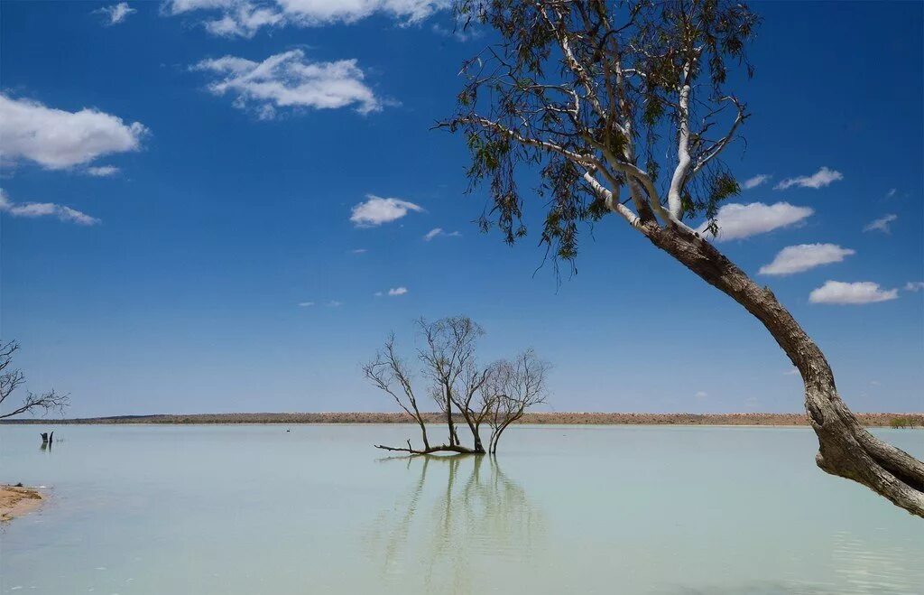 Озеро эйр в австралии. Эйр норт страна. Эйр норт страна. Озеро эйр норт. Бессточное соленое озеро австралии.