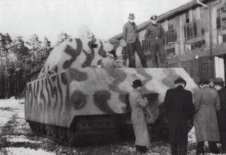 Старая мауса
