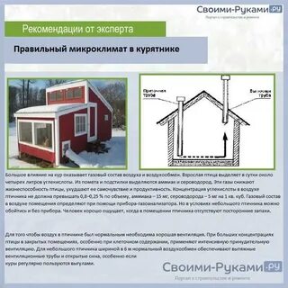 Минимальная температура в курятнике