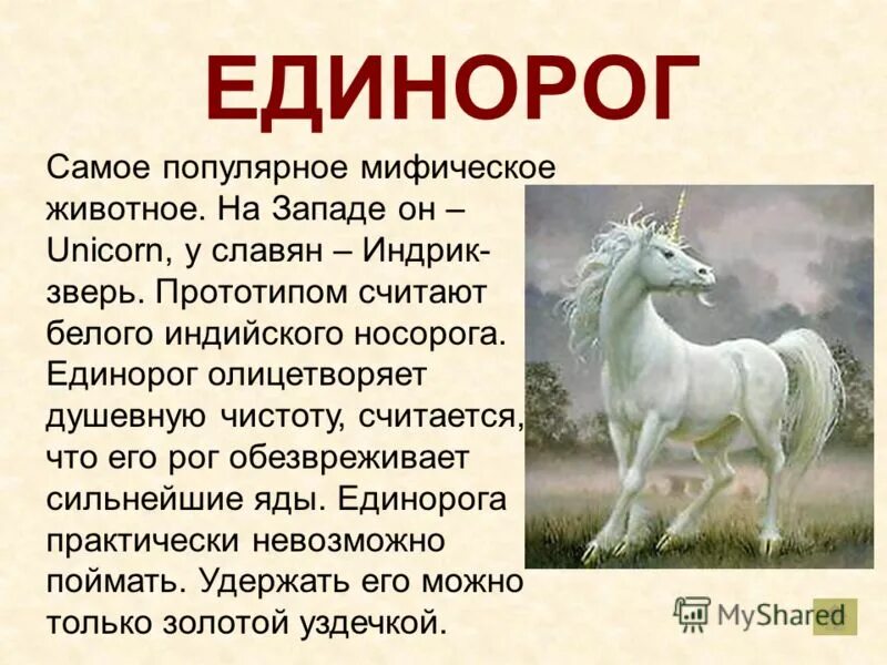 Кто такой единорог и символом чего он является. Единорог символ чего. Факты о единорогах. Легенда о единороге. Единорог что символизирует и означает.