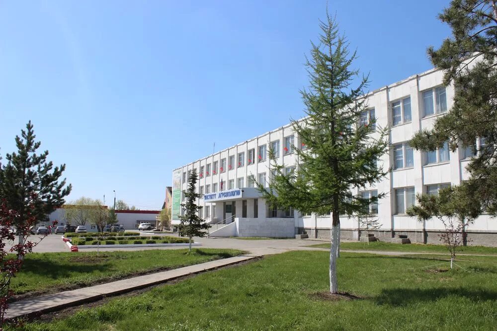 Институт агроэкологии миасское. Институт агроэкологии миасское преподаватели. Институт агроэкологии миасское. Институт агроэкологии миасское. Институт шашлокологии.