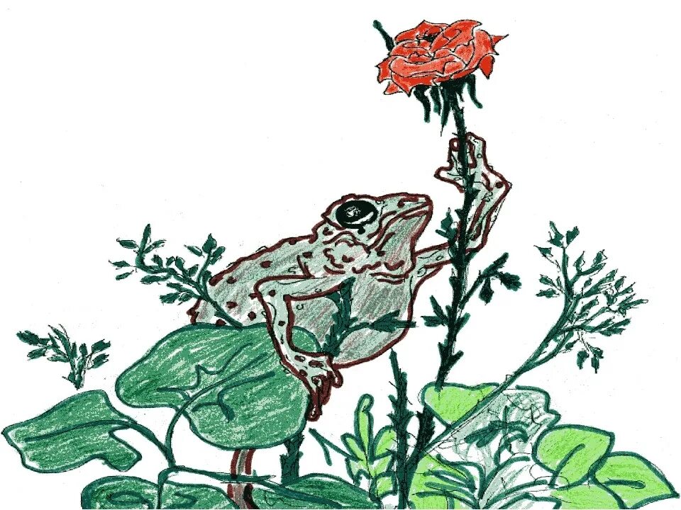 Сказка гаршина о жабе и розе. Читательский дневник рассказ о жабе и розе. Иллюстрация к произведению гаршина сказка о жабе и розе. Гаршин сказка о жабе и розе. Сказка гаршина о жабе и розе.