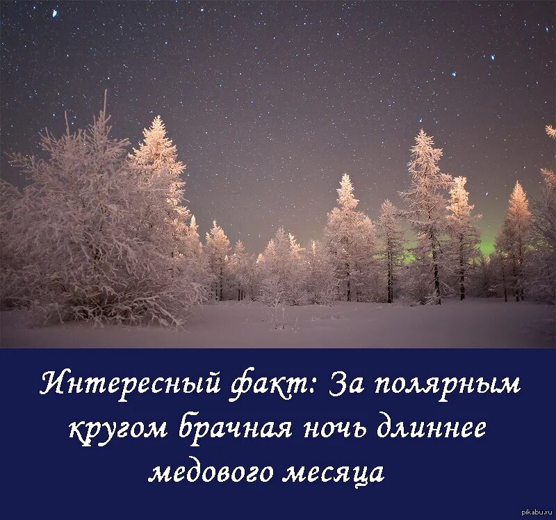 Длинный ночь какой день. Шутки про полярную ночь. Северная природа цитаты. Зимним ночью афоризмы. Зима самые длинные ночи.
