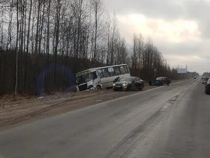 Токсово девяткино сегодня