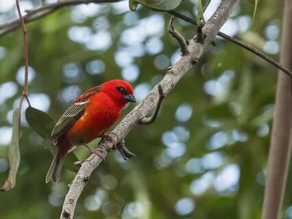 Кен Беренс (Ken Behrens). www.flickr.comphotoskbehrens. 