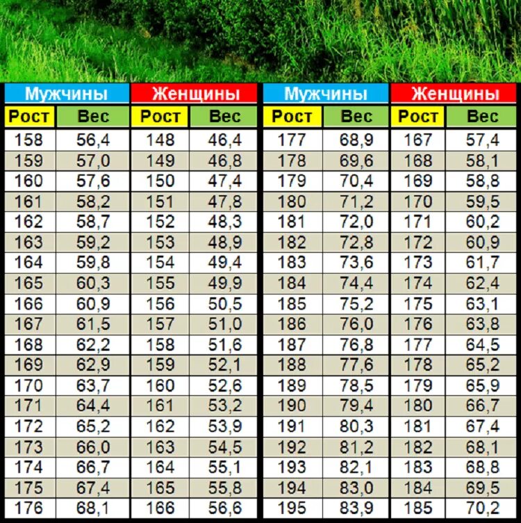 Вес при росте 183 у мужчин. Соответствие роста и веса у мужчин таблица по возрасту. Таблица нормы веса и роста мужчин. Соотношение роста и веса у мужчин по возрасту таблица. Рост и вес мужчины норма по возрасту таблица.