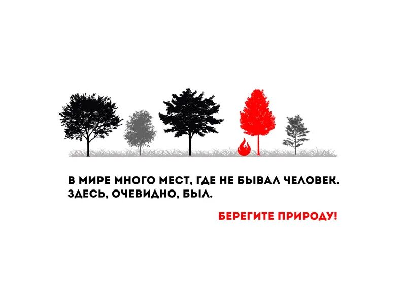 Линия лесной охраны. 800 100 94 00. Берегите лес. Ивановский лес. Евровинт 661.