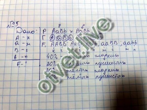 Круглая форма плодов томата доминирует. У томата гладкая кожица плодов доминирует. у томатов круглая форма плодов а доминирует над грушевидной. томатная форма плодов доминирует над грушевидной. у томатов красный окрас плода доминирует над желтым.