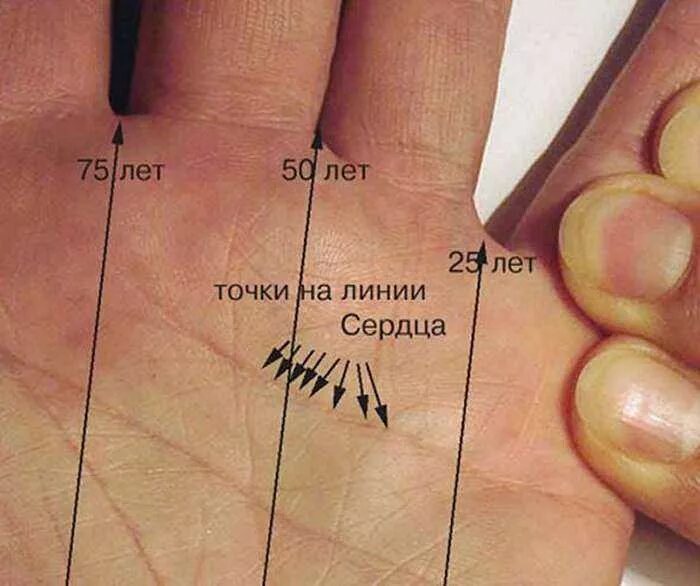 Расшифровка линии любви