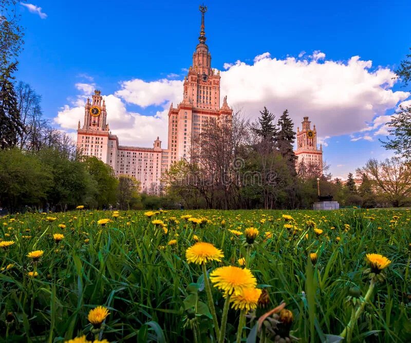 Мгу весной. Кампусы МГУ В Москве. Москва аллея МГУ. Здание МГУ весной.