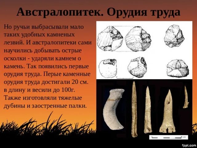 Последовательность использования предками человека орудий. Орудие труда про люди австралопитеки. Австралопитек афарский орудия труда. Первые орудия труда австралопитеки. Древние орудия труда.