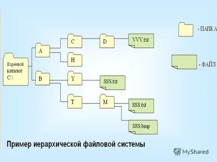 Корень папки