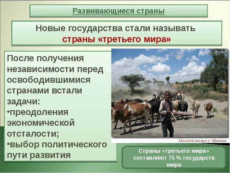 Колониальная зависимость 11. Развитие стран третьего мира. Развитие освободившихся стран. Развивающиеся страны и страны третьего мира. Пути развития стран третьего мира.