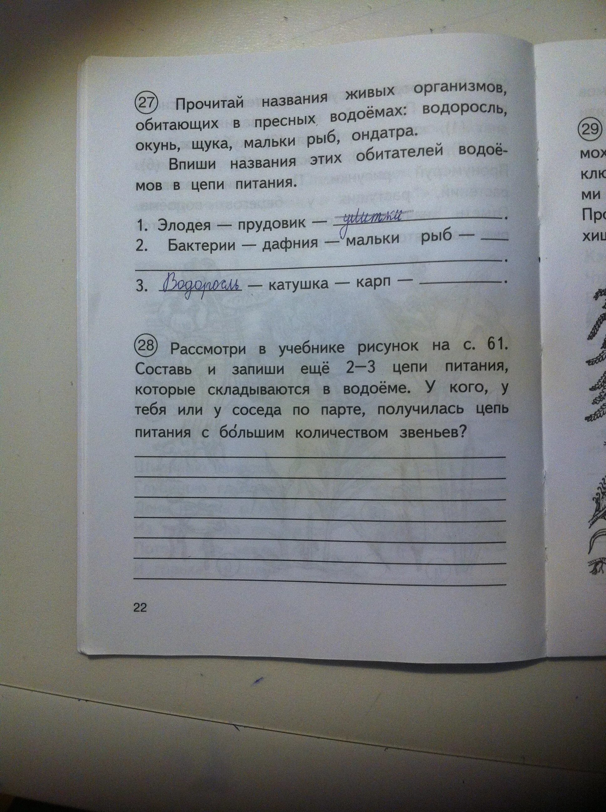 Прочитай названия живых организмов обитающих в пресных. Прочитайте названия живых организмом обитающих в пресных водоемах. Прочитай названия живых организмов обитающих в пресных водоёмах. Цепь питания водоросли окунь мальки рыб щука. Прочитайте названия направлений