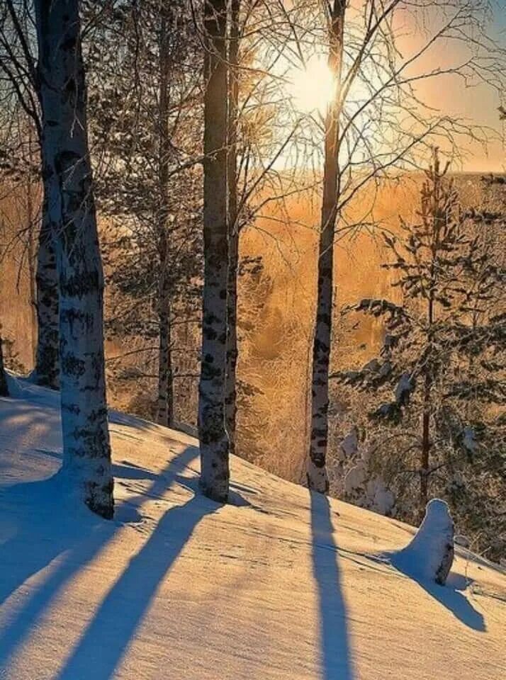 Winter shadows