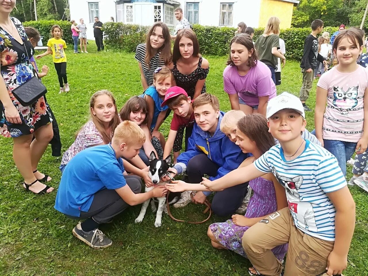 Дол дубки. Зелёные Дубки лагерь Нижегородская. Лагерь зеленые Дубки Гороховецкий район. Зеленые Дубки детский оздоровительный лагерь Нижегородская область. Лагерь Дубки Нижегородская область.