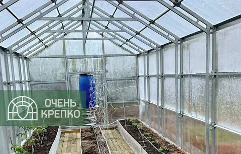 Теплица очень крепко отзывы