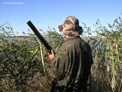 Разрешили охотиться