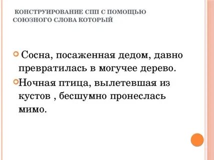 Сосна которую посадил дед