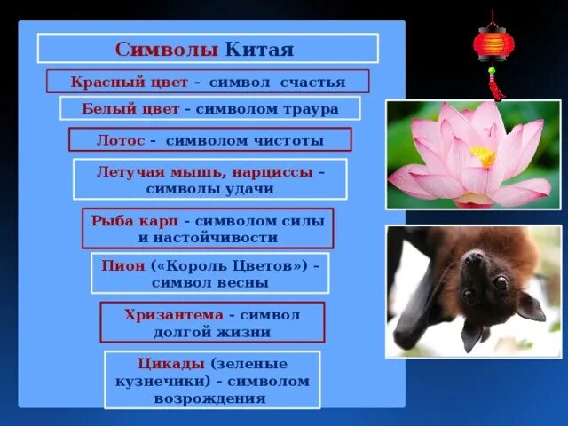 Символы цветов в китае