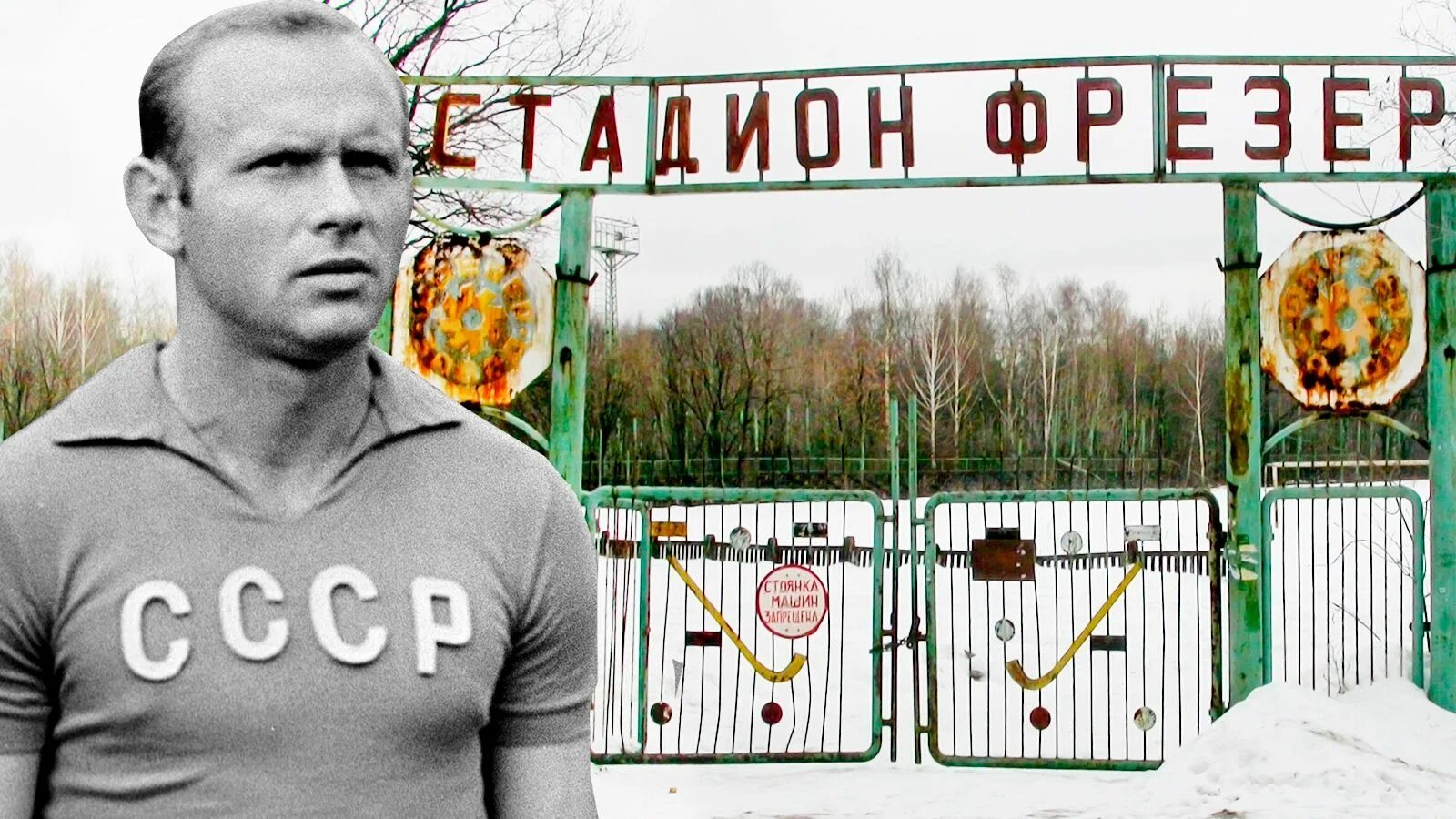 Стрельцов где