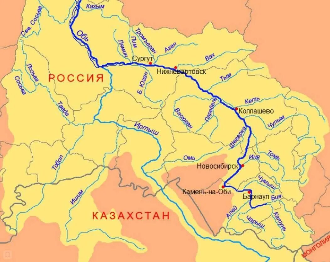 Бассейн реки Обь. Обь-Иртышский бассейн реки. Крупные притоки реки Обь. Бассейн реки Иртыш. Длинный приток иртыша