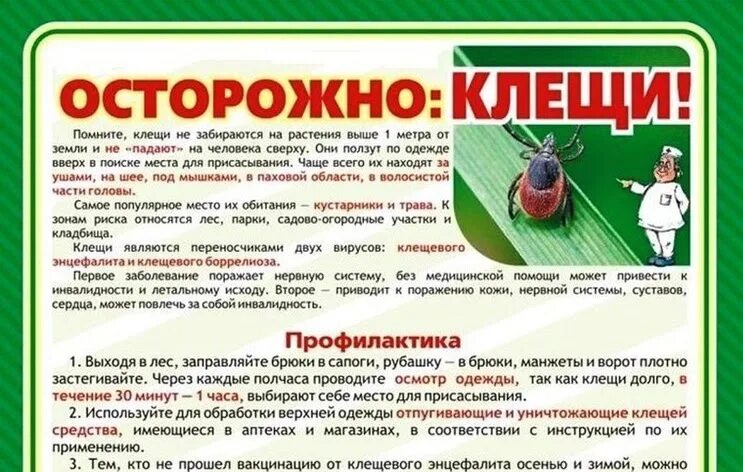 Можно в баню после прививки от клеща. Осторожно клещи. Памятка клещи. Берегитесь клещей памятка. Осторожно клещи памятка.