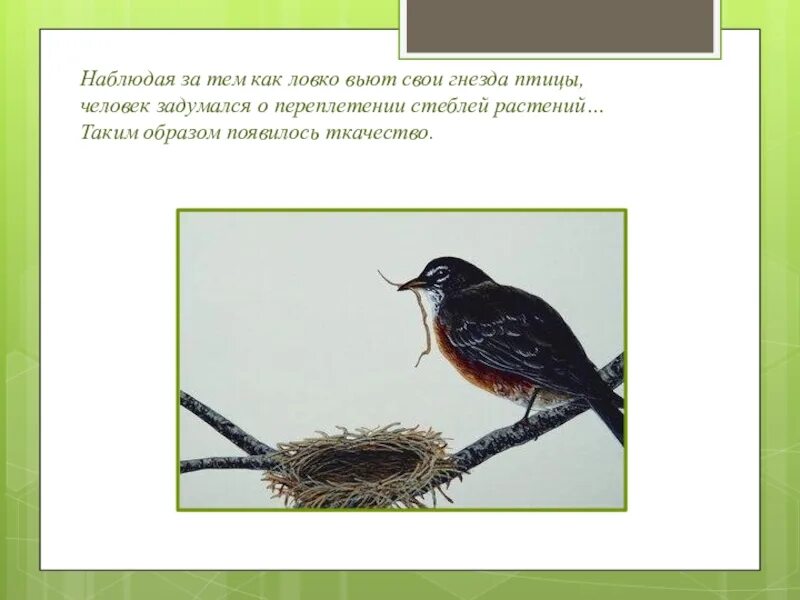 Птица поет вить вить. Предложение о том где все птицы вьют свои гнезда. Где скворец вьет свое гнездо. Различные гнезда птиц с подписями. Гнезда птиц других континентах с описанием.