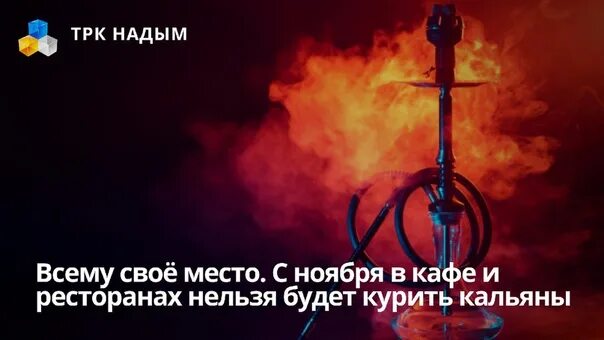 Настя кальян текст. Текст про кальян. самые смешные фразы про кальян. в смысле нельзя со своим кальяном на огэ. слова песни сидим кальян и курим.