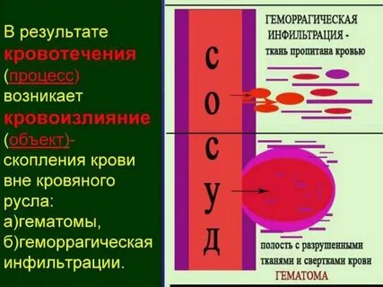 Кровообращение лекция