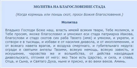 Заговоры чтоб бегал
