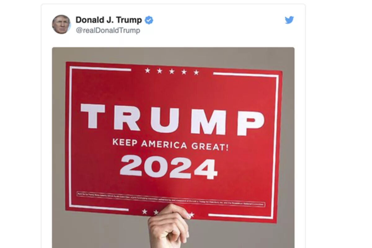2024 poster. Trump 2024. Выборы 2024 плакат. Trump 2024 Flag. Трамп плакат выборы.