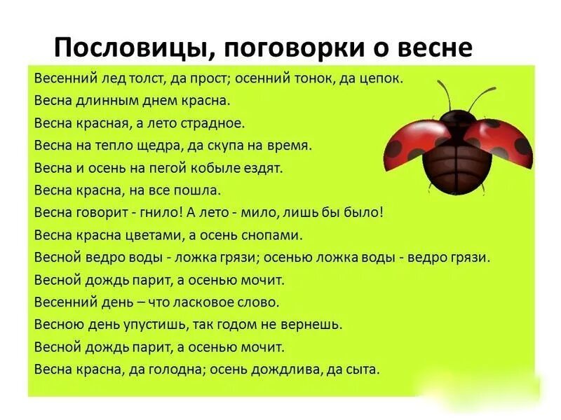 Пословицы детям 4 лет. Пословицы и поговорки о ве. Пословиц о весне малышам. Пословицы и поговорки о весне. Пословицы и поговорки о весне для дошкольников.