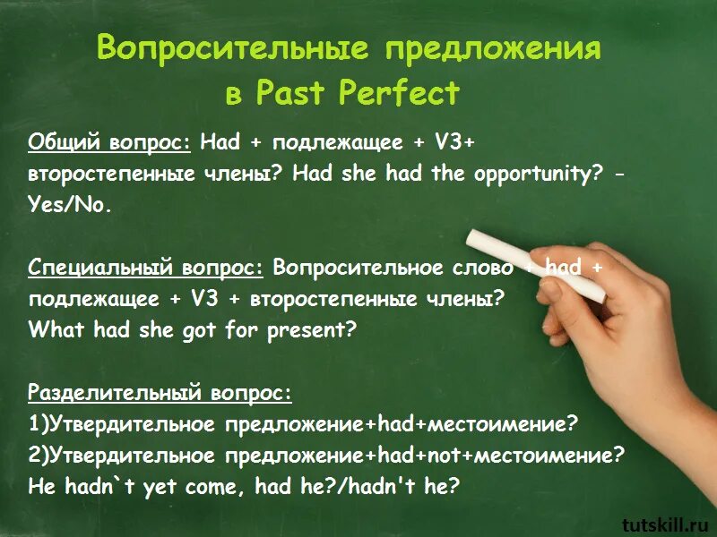 Past perfect вопросительные предложения