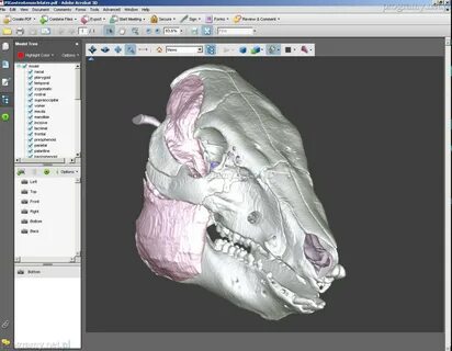 Adobe 3d